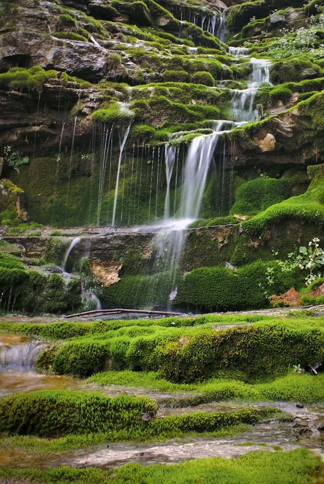 A lush green waterfall cascading over mossy rocks